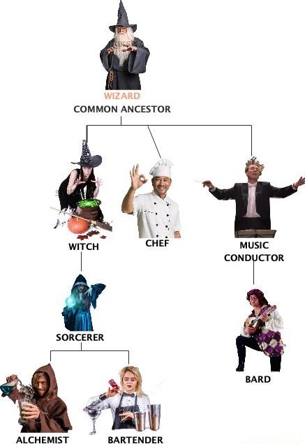 CCOMMON ANCESTOR SORCERER BARD ALCHEMIST BARTENDER