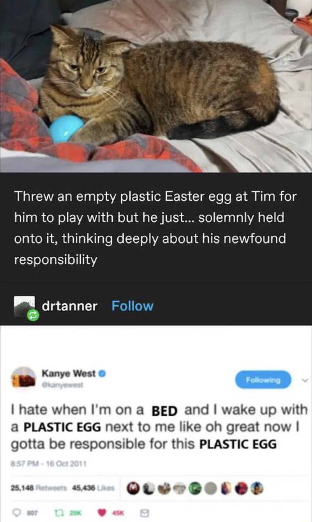 Threw an empty plastic Easter egg at Tim for L1100 CoB o EIATT o oV ol TN V ST g T WA T e onto it thinking deeply about his newfound EN el o11114 drtanner Follow Kanye West hate when Im on a BED and wake up with a PLASTIC EGG next to me like oh great now gotta be responsible for this PLASTIC EGG QLevBotes