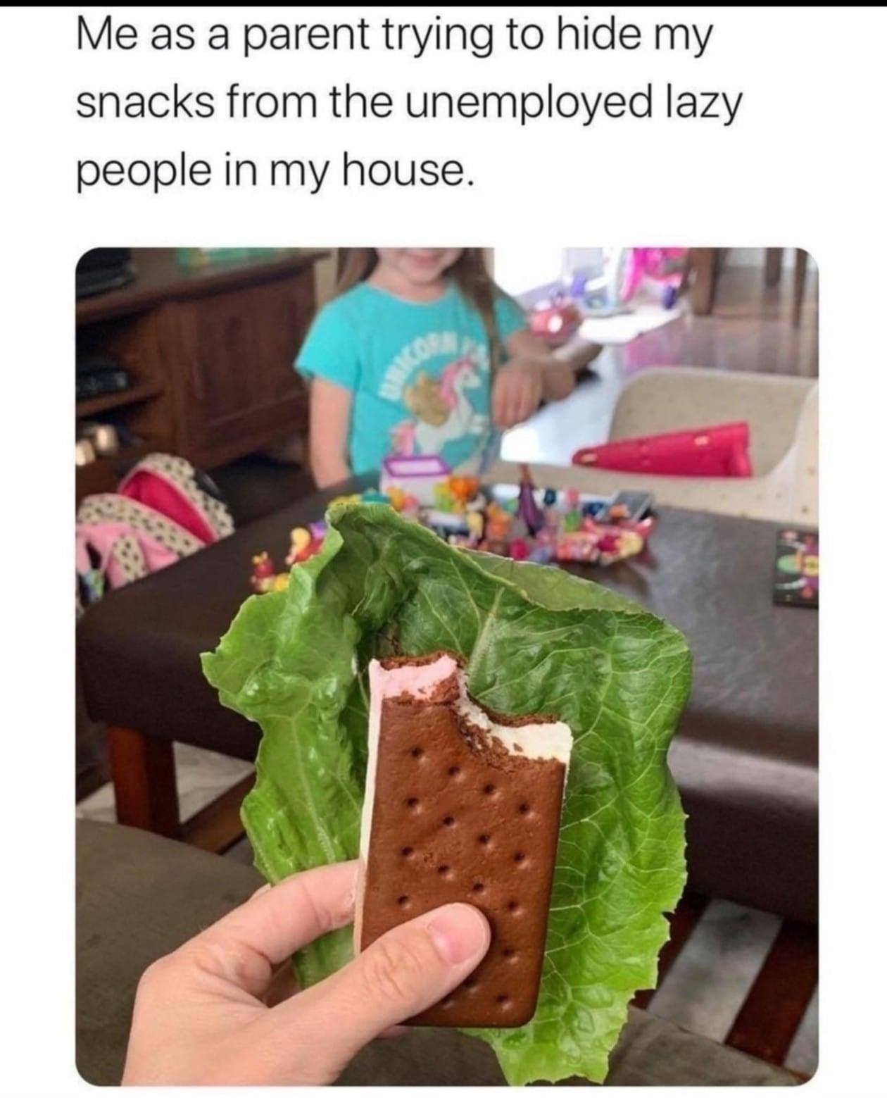 Me as a parent trying to hide my snacks from the unemployed lazy people in my house