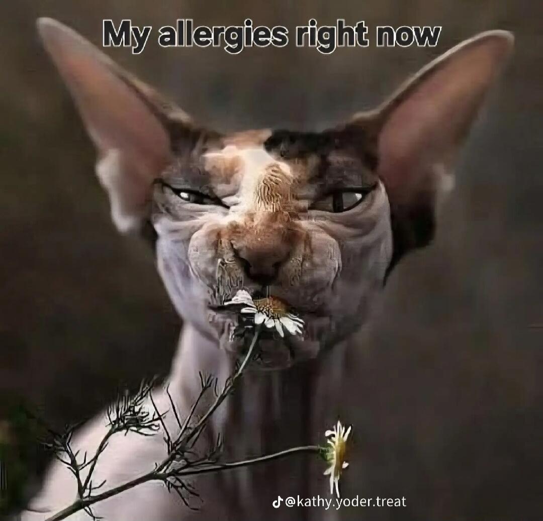 My allergies right now