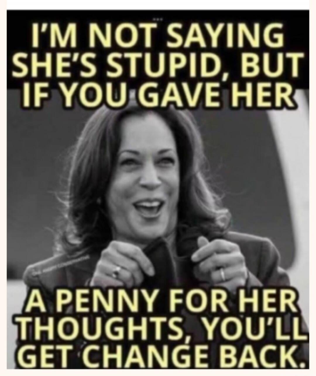 I'M NOT SAYING SHE'S STUPID, BUT IF YOU GAVE HER A PENNY FOR HER THOUGHTS, YOU'LL GET CHANGE BACK.