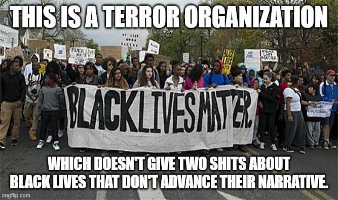 THIS IS A TERROR ORGANIZATION WHICH DOESN'T GIVE TWO SHITS ABOUT BLACK LIVES THAT DON'T ADVANCE THEIR NARRATIVE. BLACK LIVES MATTER.