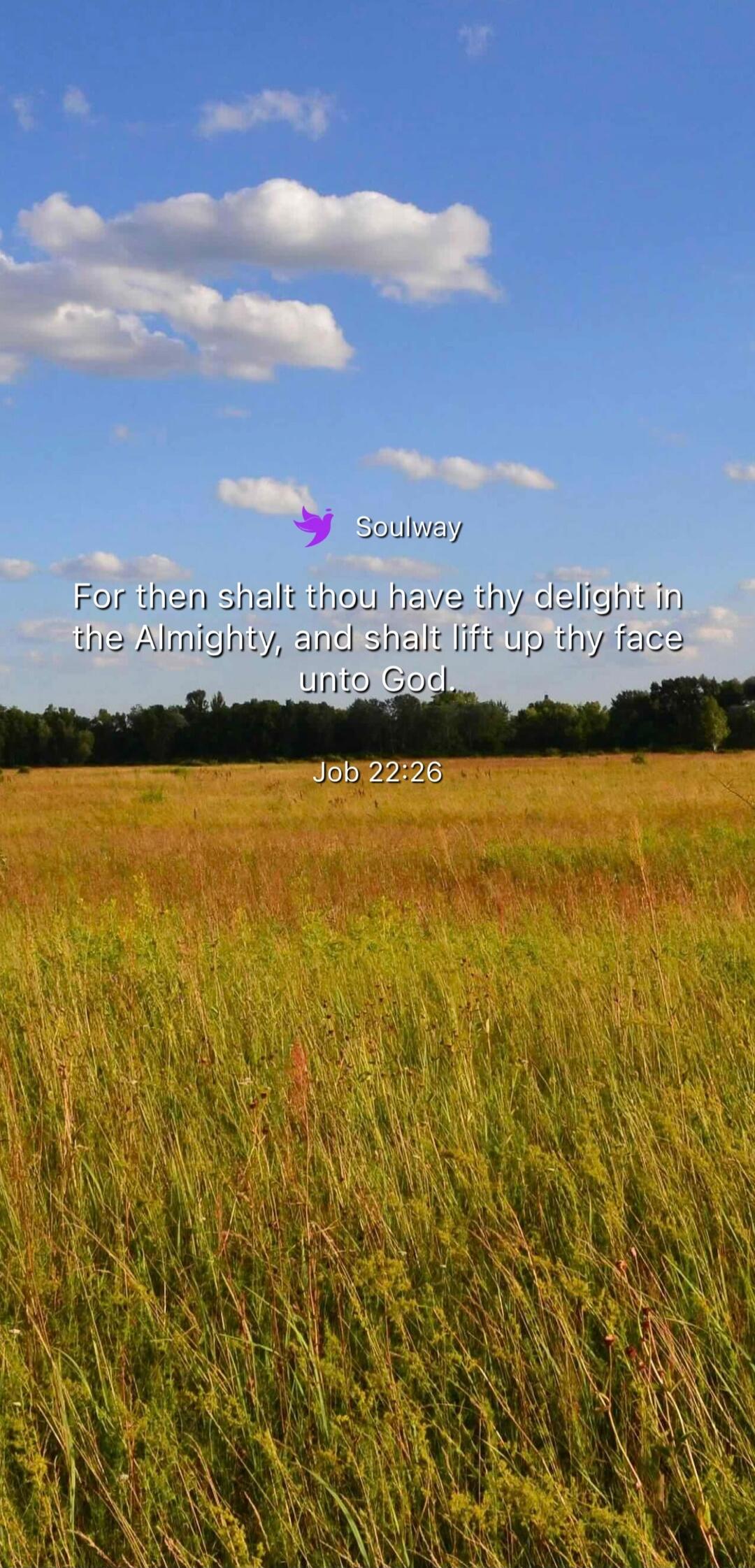 Soulway For then shalt thou have thy delight in the Almighty, and shalt lift up thy face unto God. Job 22:26