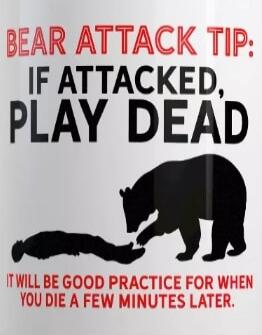 BEAR ATTACK TIP: IF ATTACKED, PLAY DEAD
IT WILL BE GOOD PRACTICE FOR WHEN YOU DIE A FEW MINUTES LATER.