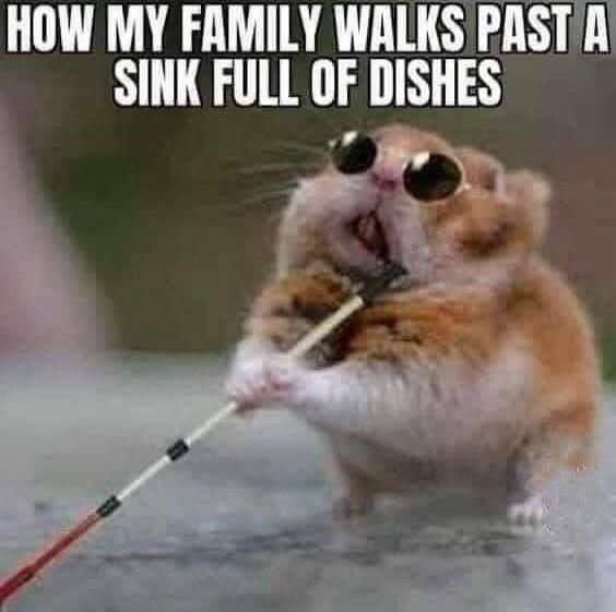 HOW MY FAMILY WALKS PAST A SINK FULL OF DISHES