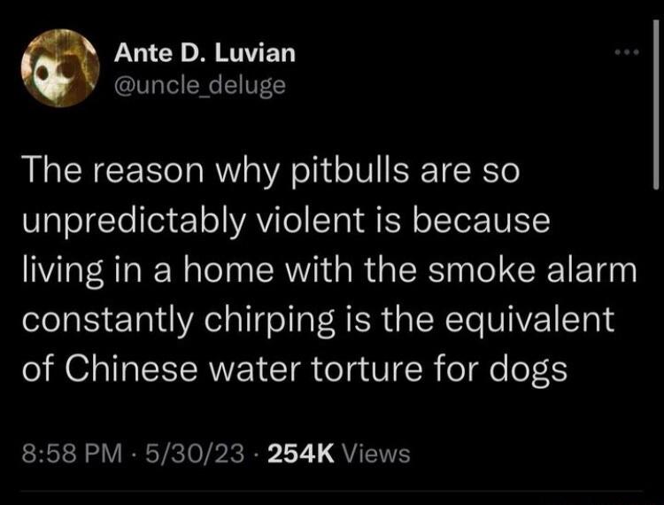 LU R RTED V uncle deluge The reason why pitbulls are so VlaTeTgTe felYo VAV Io Yo I QSN oTTor VISYCY living in a home with the smoke alarm constantly chirping is the equivalent of Chinese water torture for dogs 858 PM 53023 254K Views