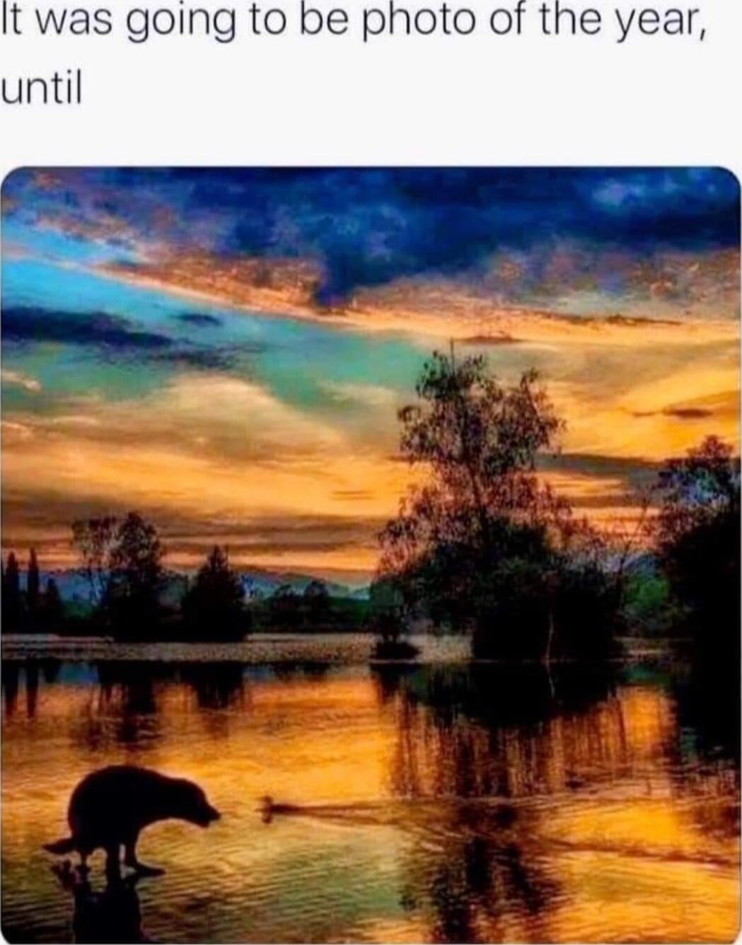 t was going to be photo of the year until