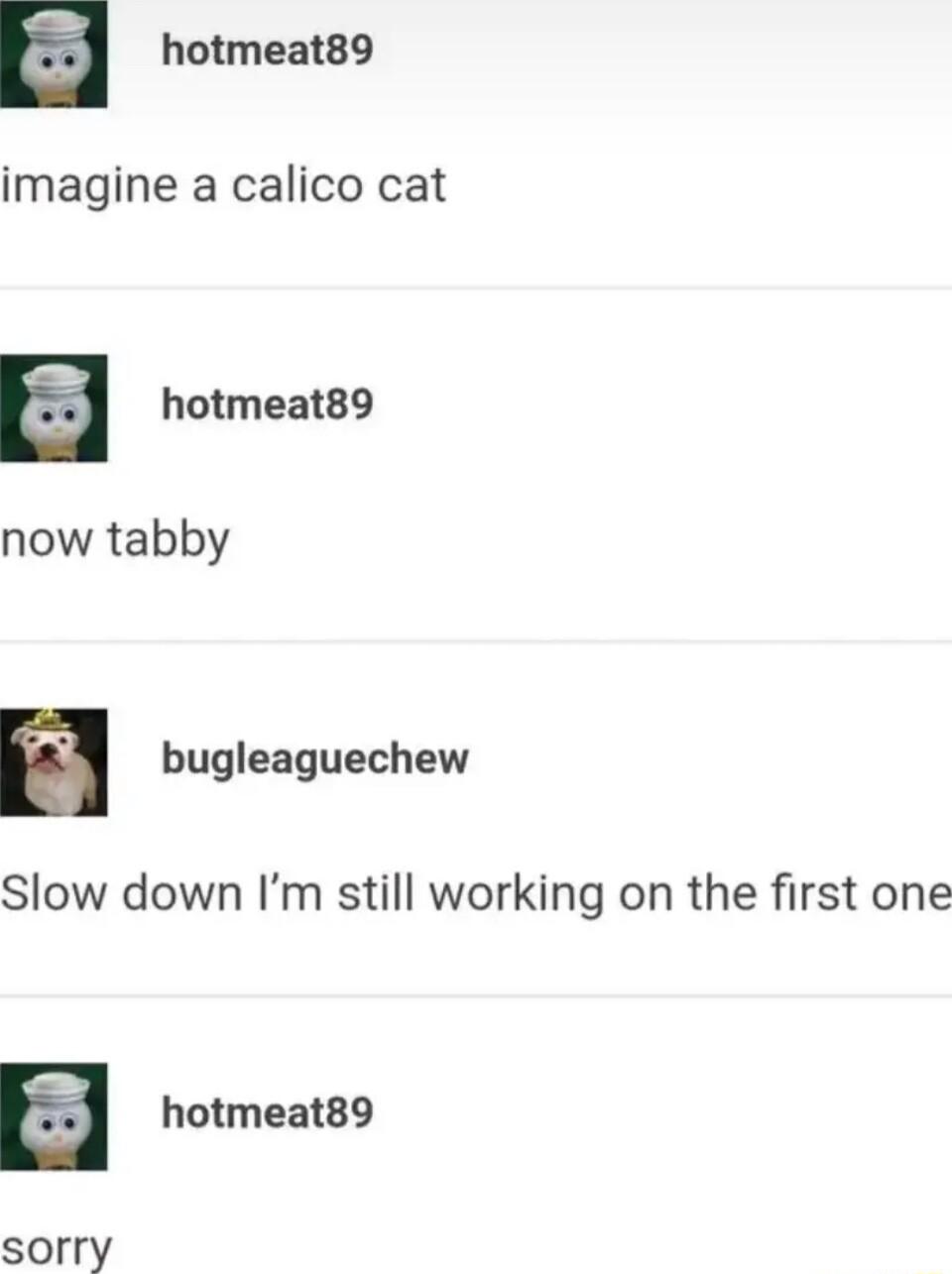hotmeat89 imagine a calico cat hotmeat89 now tabby n bugleaguechew Slow down Im still working on the first one hotmeat89 sorry