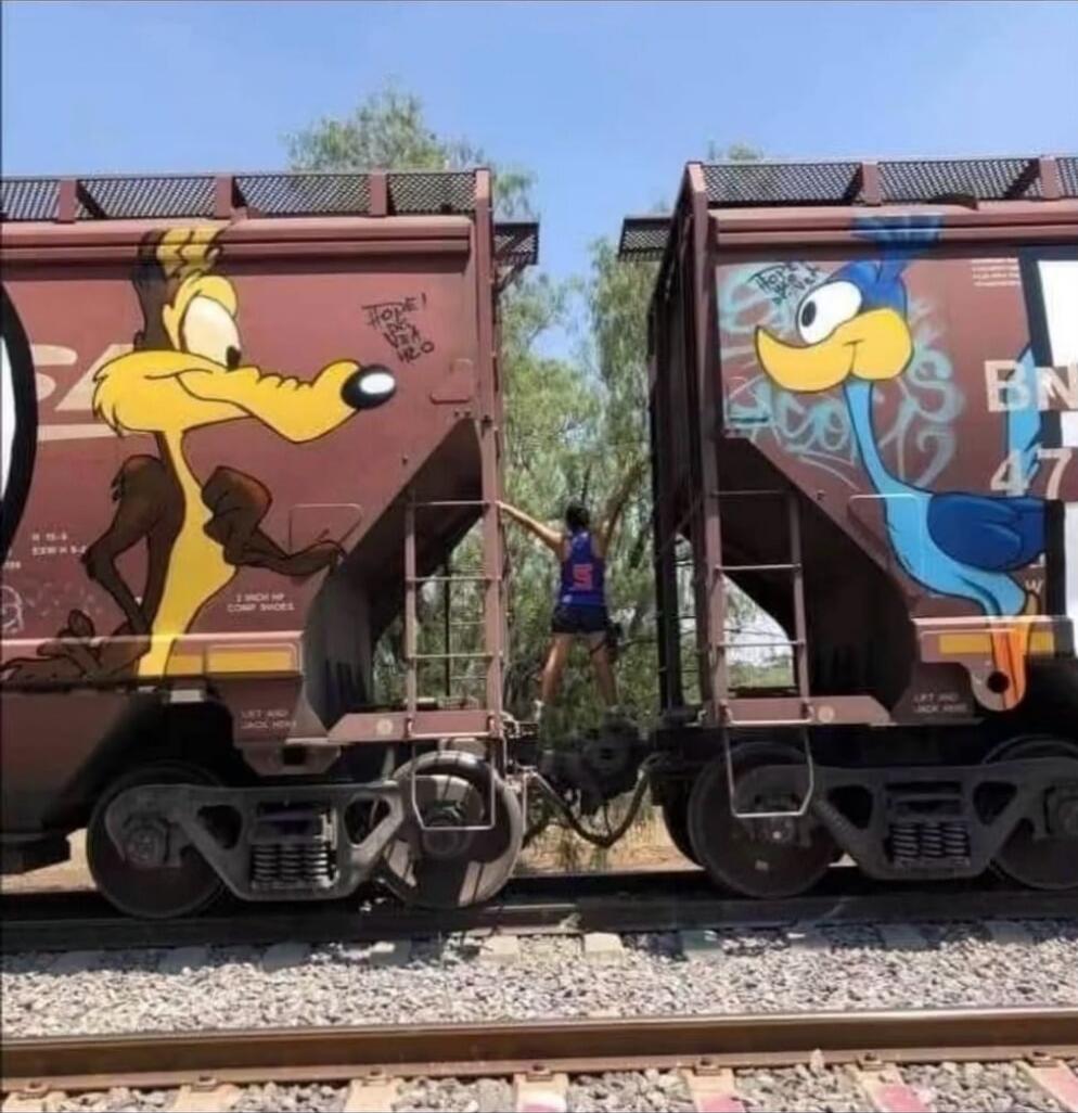 A person standing between two graffiti-covered rail cars. Left car features a large yellow cartoon dog; right car features a blue cartoon bird.