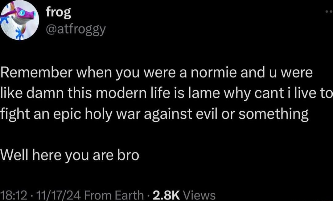frog atfroggy Remember when you were a normie and u were like damn this modern life is lame why cant i live to fight an epic holy war against evil or something Well here you are bro 1812 111724 From Earth 28K Views