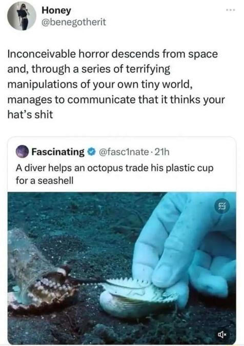 Honey benegotherit Inconceivable horror descends from space and through a series of terrifying manipulations of your own tiny world manages to communicate that it thinks your hats shit Fascinating fascinate 21h Adiver helps an octopus trade his plastic cup for a seashell