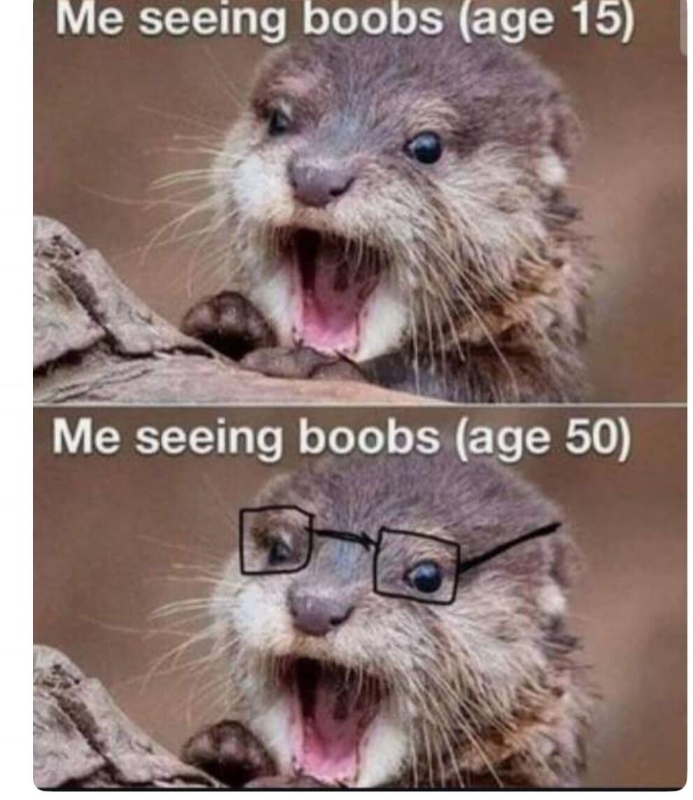 Me seeing boobs (age 15) Me seeing boobs (age 50)