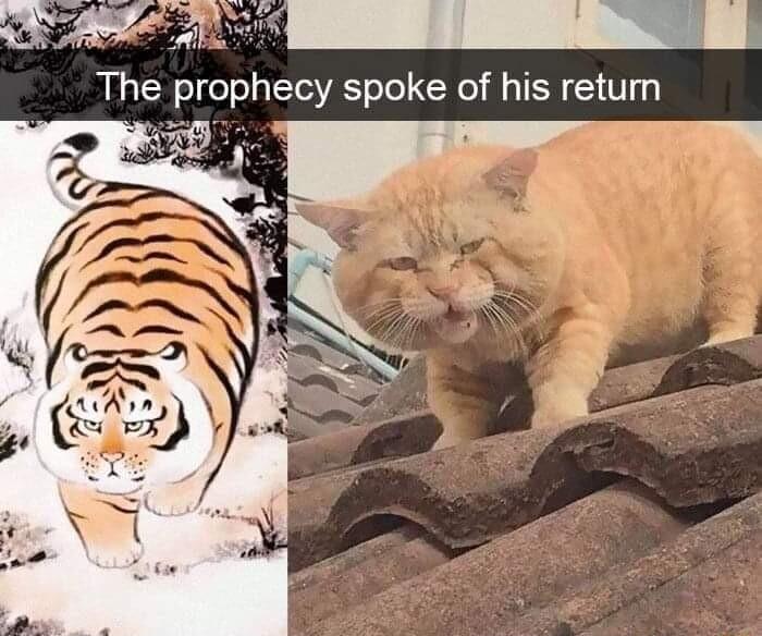 Th prophecy spoke of his retum