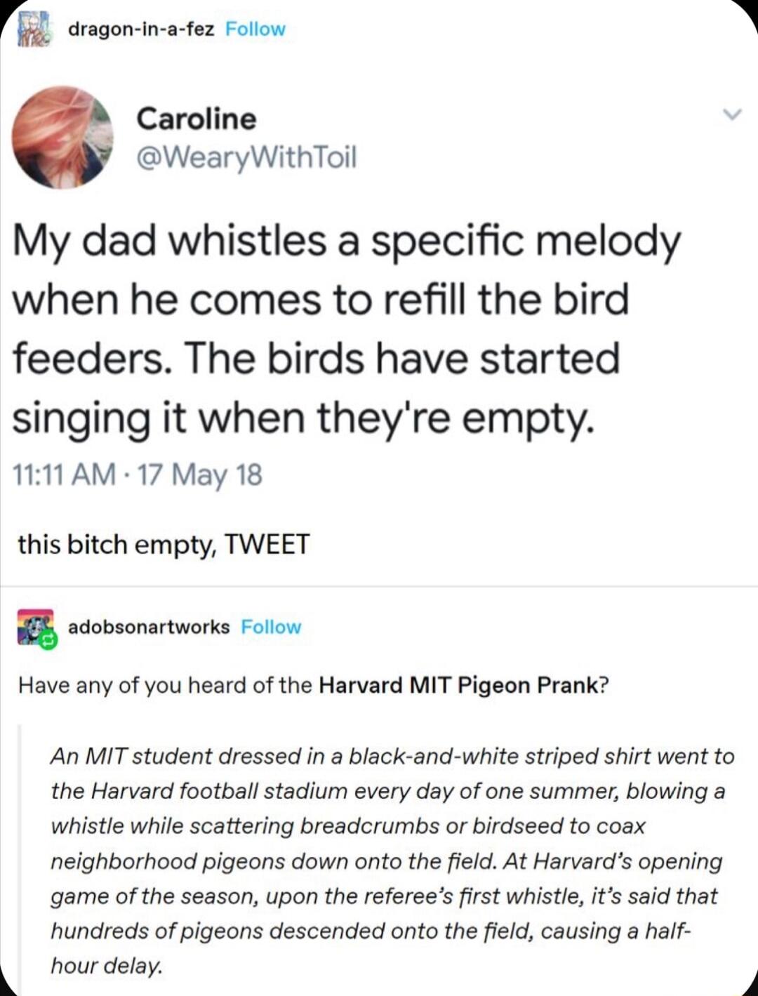 P aragon in actez Folow Caroline WearyWithToil My dad whistles a specific melody when he comes to refill the bird feeders The birds have started singing it when theyre empty 1111AM 17 May 18 this bitch empty TWEET B weovsonrtcris oo Have any of you heard of the Harvard MIT Pigeon Prank An MIT student dressed in a black and white striped shirt went to the Harvard football stadium every day of one s