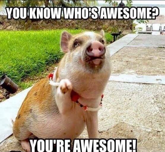 YOU KNOW WHO'S AWESOME? YOU'RE AWESOME!