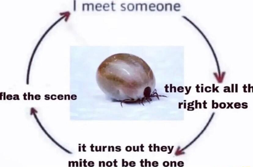 meet someone they tick all th right boxes it turns out they mite not be the one flea the scene