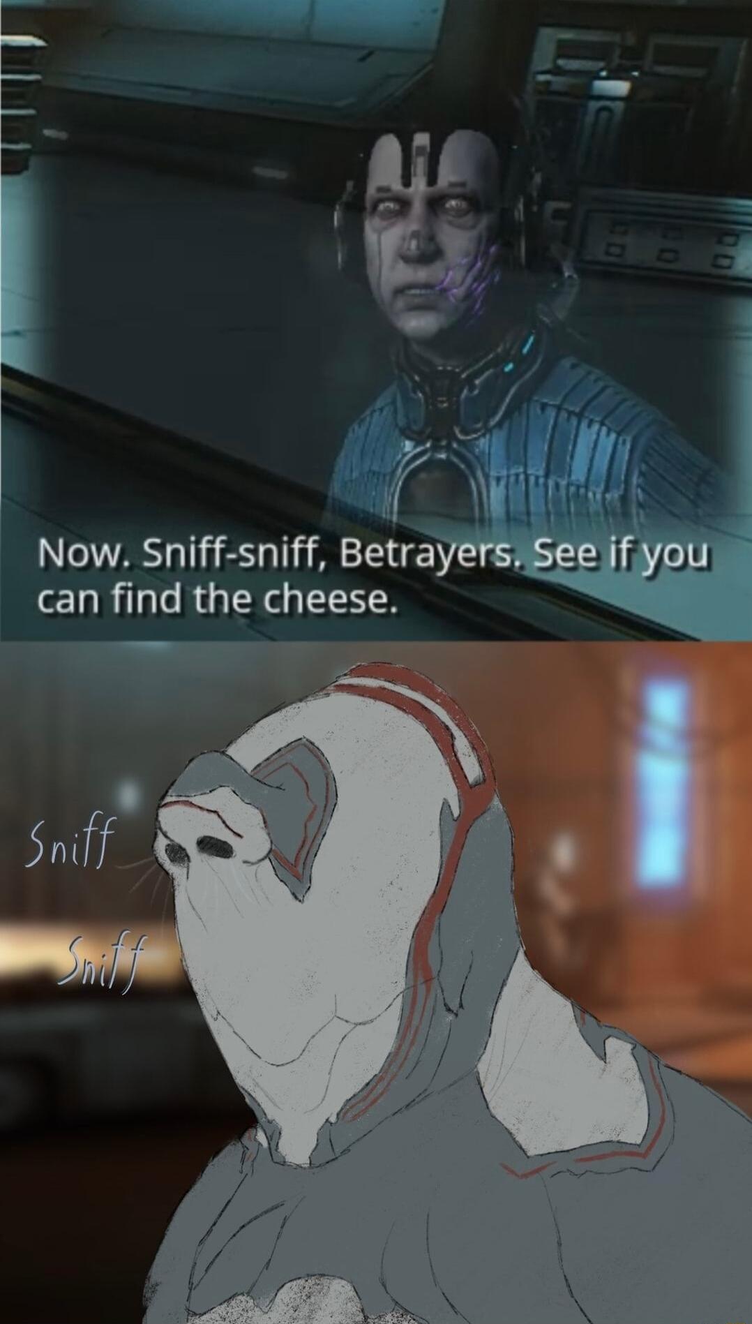 Now Sniff sniff Betra can find the cheese