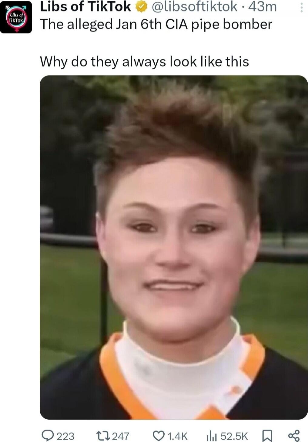 The alleged Jan 6th CIA pipe bomber

Why do they always look like this