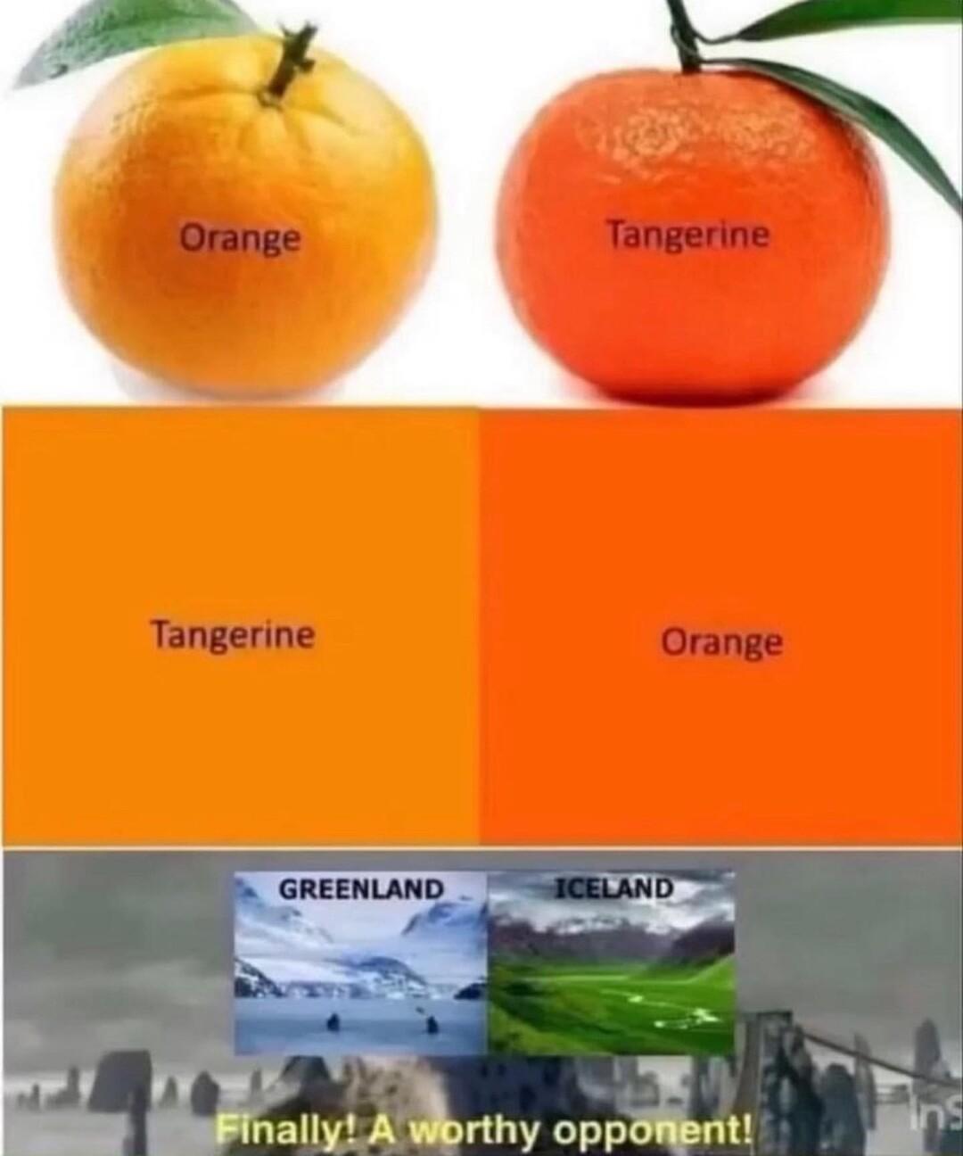 w0 x nallyAlmhy oppofient F