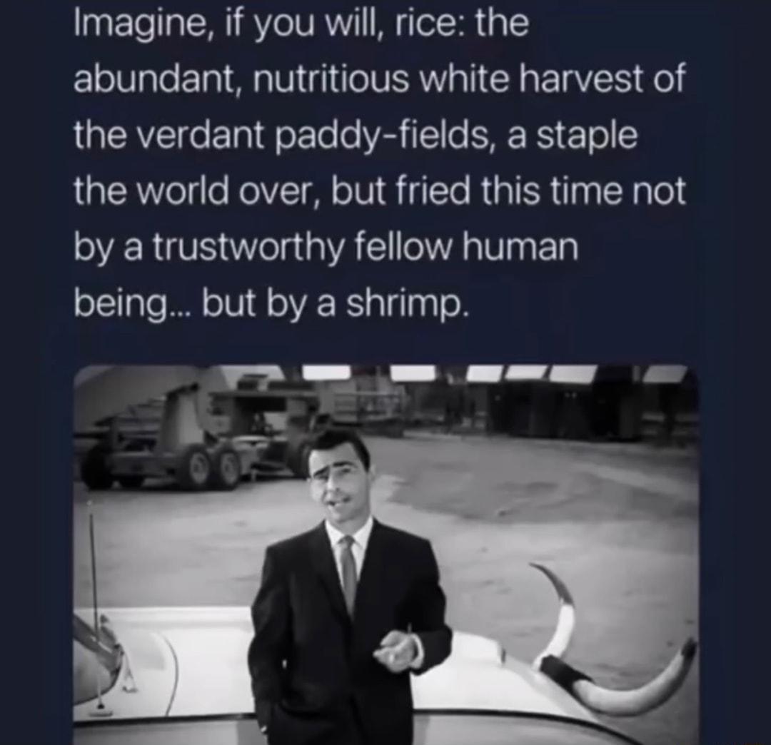 patTo TWNI RYeIVAVY To30 5 F1olUale 10 Mg W1 g i e V RV T A p P 1AV Qe LIERYZIge FTal orTo 0 VS 1 o SF RS T o the world over but fried this time not VRV el VA e VA ap Tl being but by a shrimp