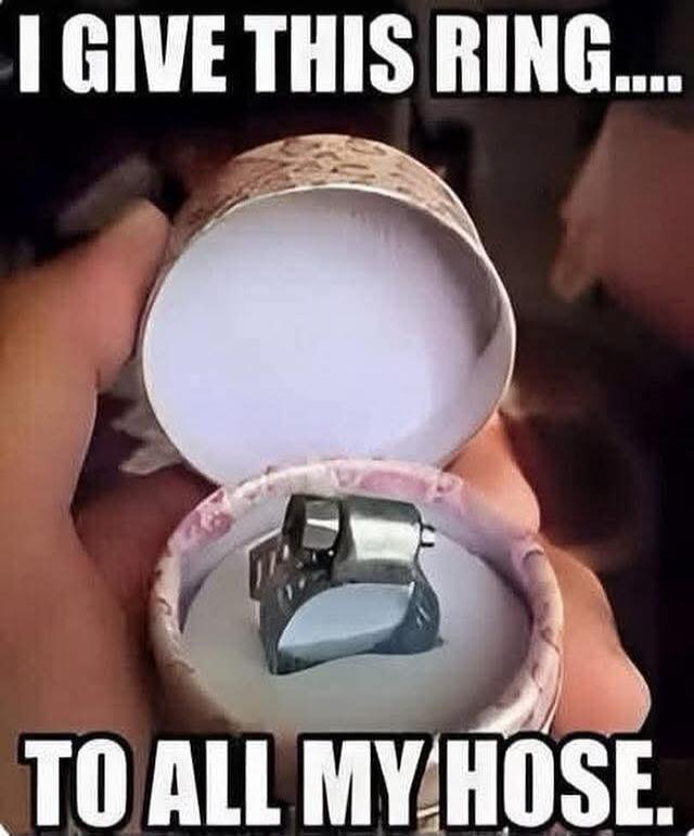 I GIVE THIS RING.... TO ALL MY HOSE.