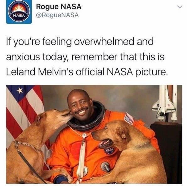 R Rogue NASA RogueNASA If youre feeling overwhelmed and anxious today remember that this is Leland Melvins official NASA picture