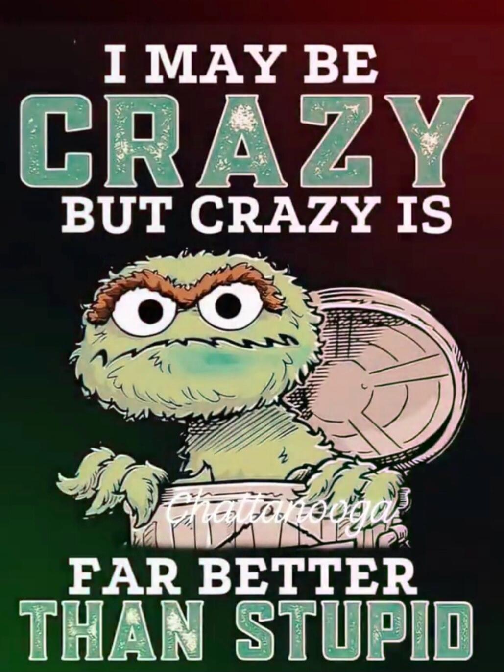 I MAY BE CRAZY BUT CRAZY IS FAR BETTER THAN STUPID