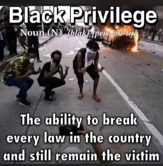Black Privilege. Noun (N) [blak] [priv-uh-lij]. The ability to break every law in the country and still remain the victim.
