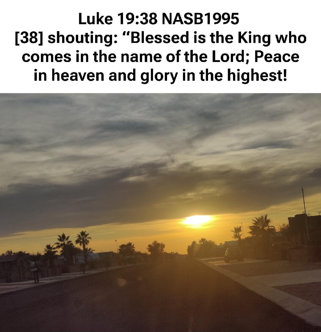 Luke 19:38 NASB1995 [38] shouting: 