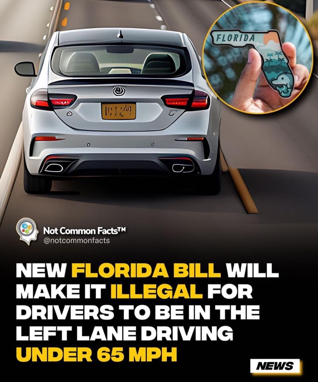 Not Common Facts notcommonfacts NEW WILL MAKEIT GAL FOR DRIVERS TO BE IN THE LEFT LANE DRIVING vEws
