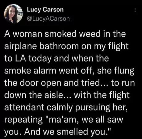 RTETR o T LucyACarson N ETa R N o CTe T To BT R I airplane bathroom on my flight LR WN ol E VR 1o Te RV TT R T smoke alarm went off she flung RN oTo o o IT K TaTe R 4 LTo IR o N V3 down the aisle with the flight attendant calmly pursuing her repeating maam we all saw you And we smelled you