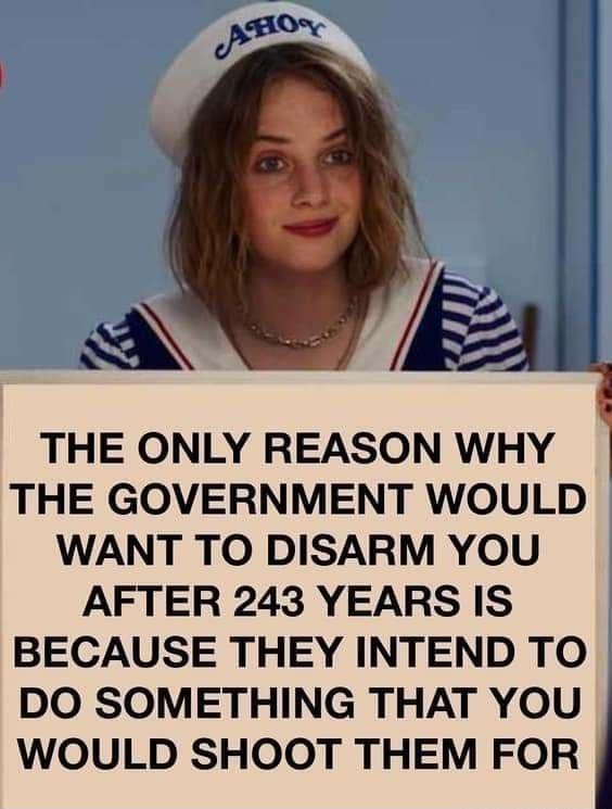 AW THE ONLY REASON WHY THE GOVERNMENT WOULD WANT TO DISARM YOU AFTER 243 YEARS IS BECAUSE THEY INTEND TO DO SOMETHING THAT YOU WOULD SHOOT THEM FOR