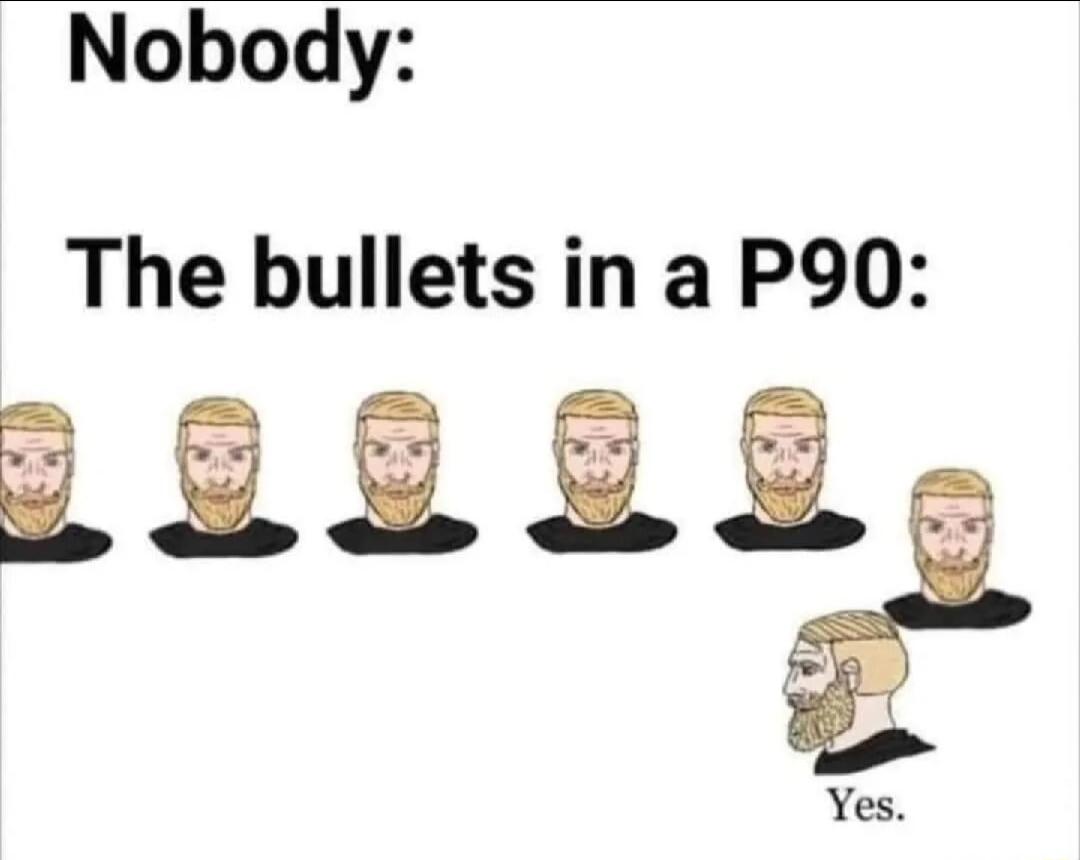 Nobody: The bullets in a P90: Yes.