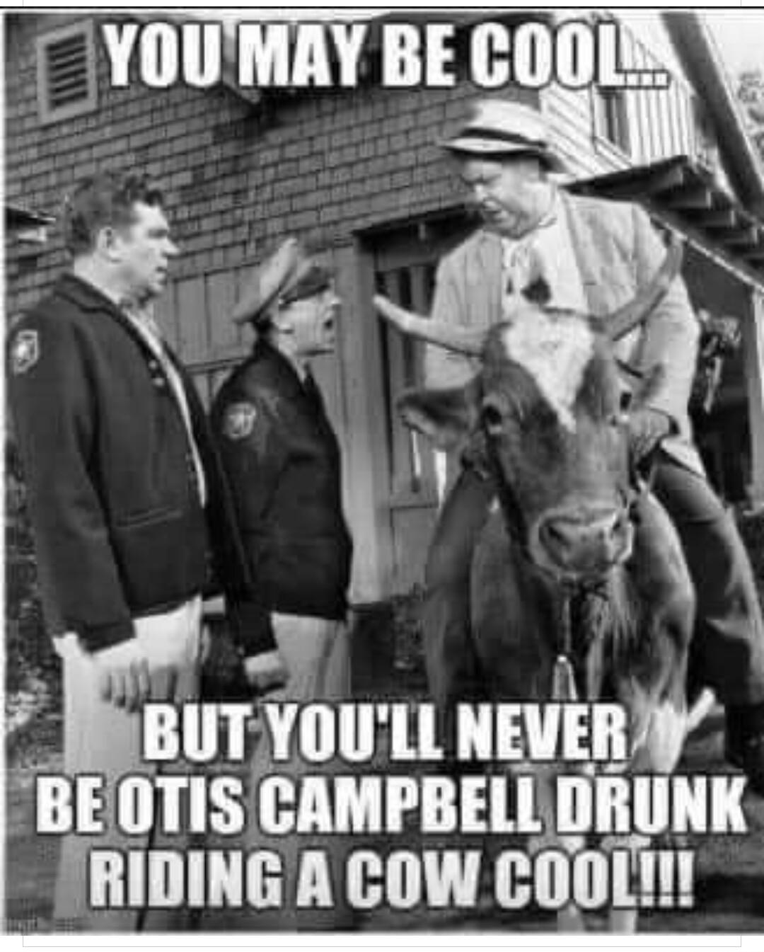 r BUTYOULL nmnV BEOTIS CAMPBELL DRUNK FRIDINGA COW CODLIN