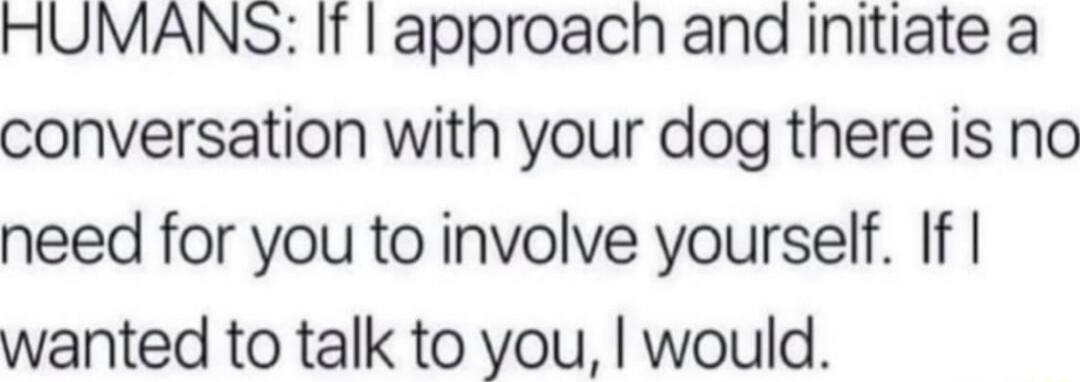 HUMANS If approach and initiate a conversation with your dog there is no need for you to involve yourself If wanted to talk to you would