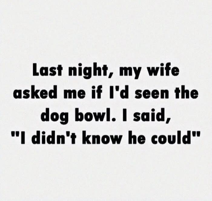 Last night, my wife asked me if I'd seen the dog bowl. I said, 