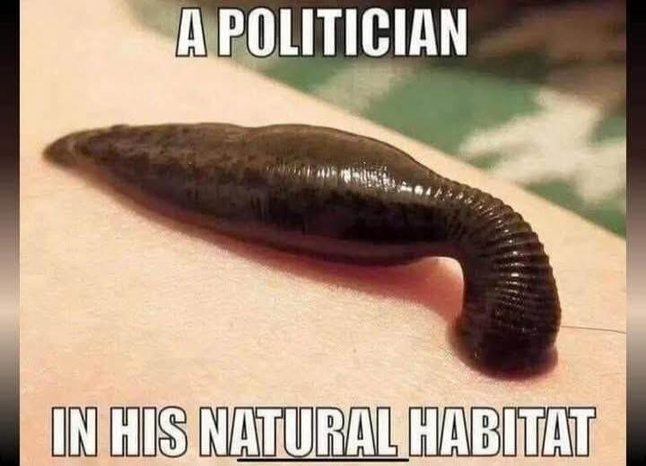 A POLITICIAN IN HIS NATURAL HABITAT