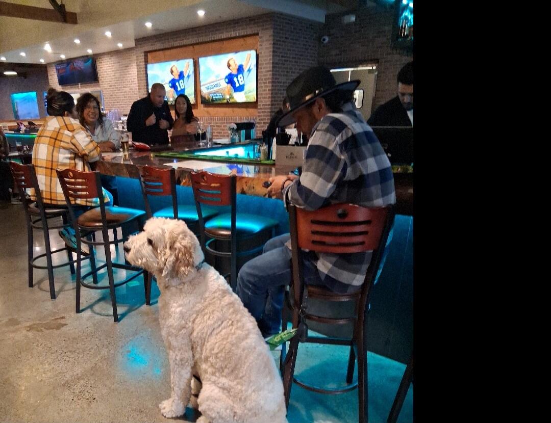 INSURANCE 18