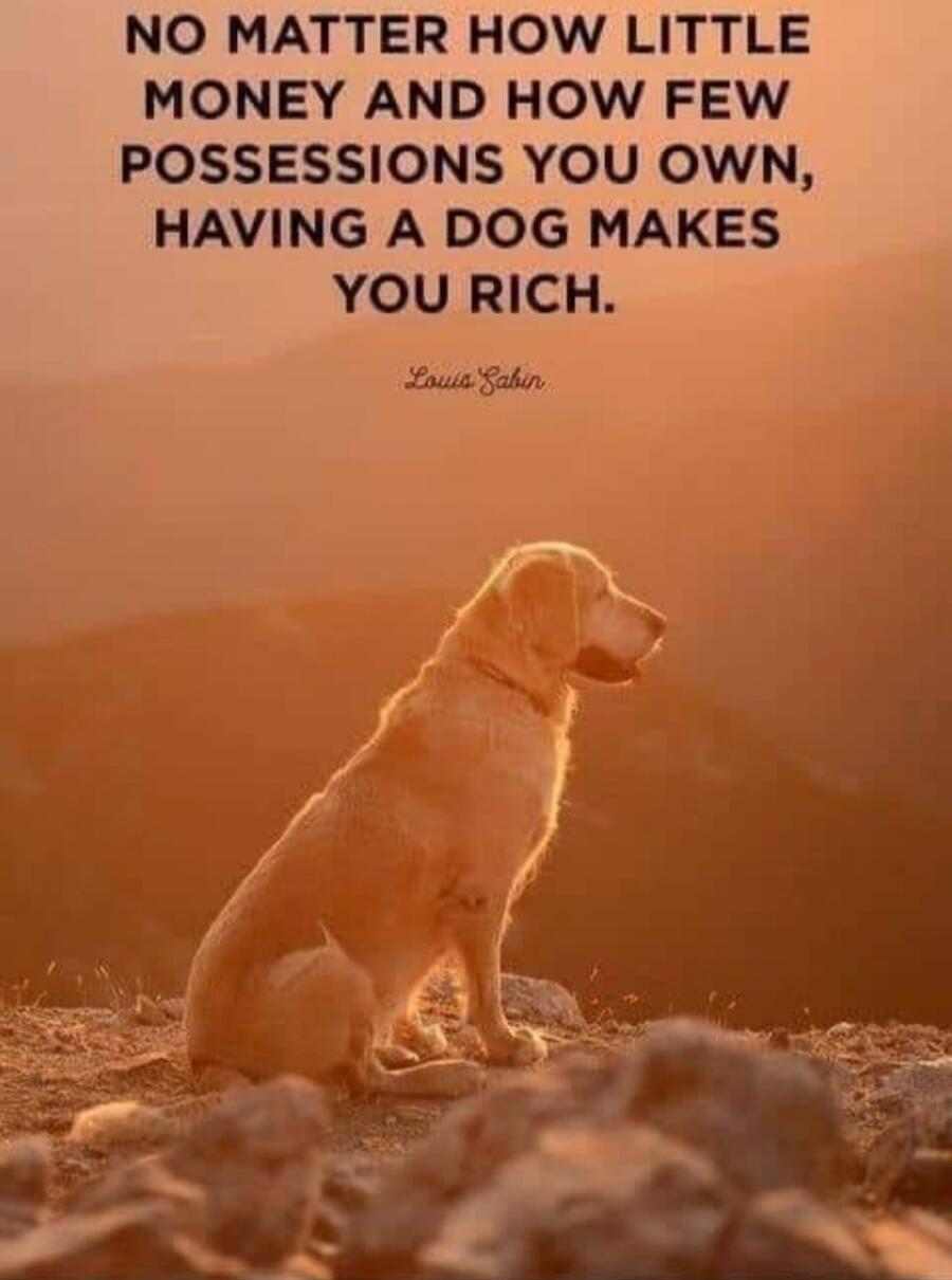 NO MATTER HOW LITTLE MONEY AND HOW FEW POSSESSIONS YOU OWN, HAVING A DOG MAKES YOU RICH. Louis Sabin