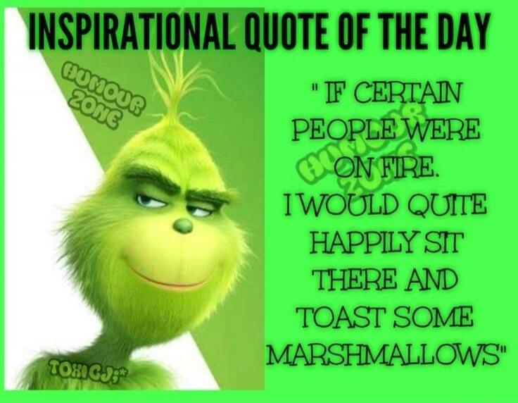 INSPIRATIONAL QUOTE OF THE DAY HUMOUR ZONE TOXIC GJ* 