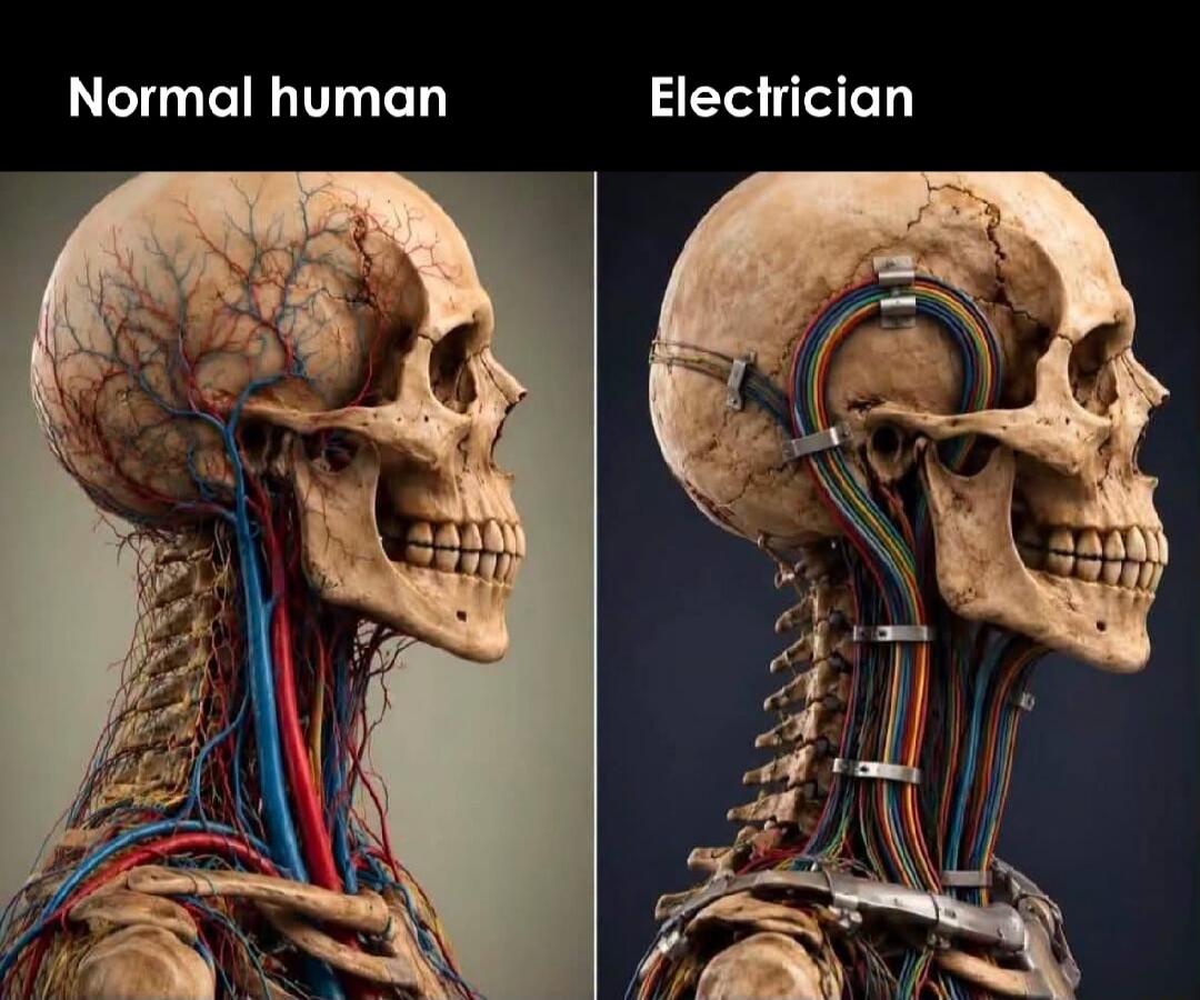 Normal human Electrician
