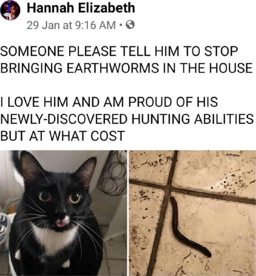 9 Hannah Elizabeth 29 Jan at 916 AM SOMEONE PLEASE TELL HIM TO STOP BRINGING EARTHWORMS IN THE HOUSE LOVE HIM AND AM PROUD OF HIS NEWLY DISCOVERED HUNTING ABILITIES BUT AT WHAT COST