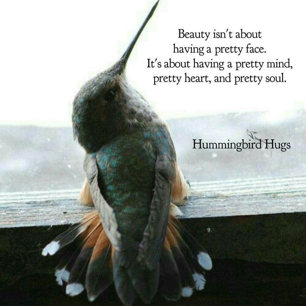Beauty isn’t about having a pretty face. It’s about having a pretty mind, pretty heart, and pretty soul.
Hummingbird Hugs
