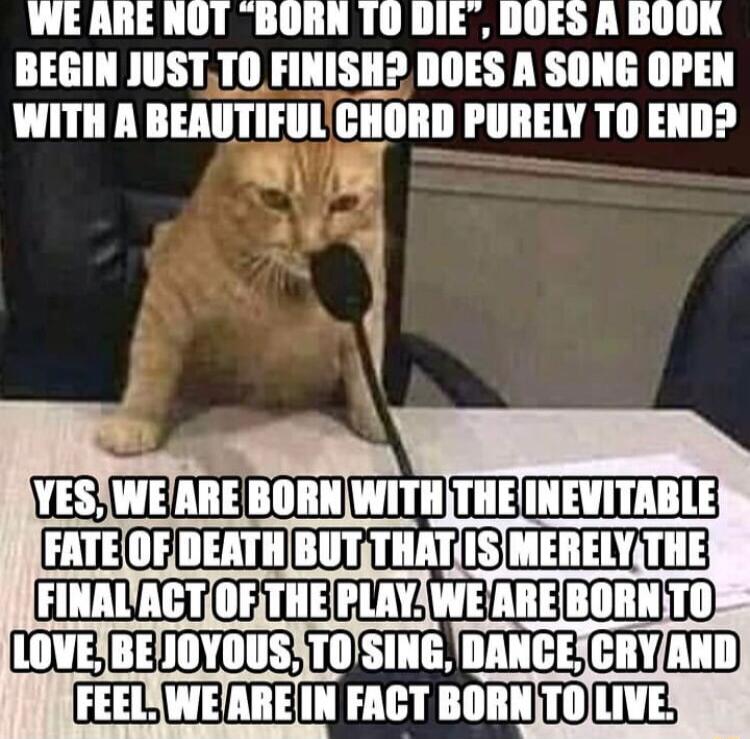 WEARE NOT BORN 10 DIE DOES A BOOK BEGIN JUSTTO FINISH DOES A SONG OPEN WITH A BEAUTIFULCHORD PURELY TO END FINAUACTOETHEPLAYWEAREBORNTO IEEOB OGN EUID FEELXWEAREIN FACT BORNTOLIVER