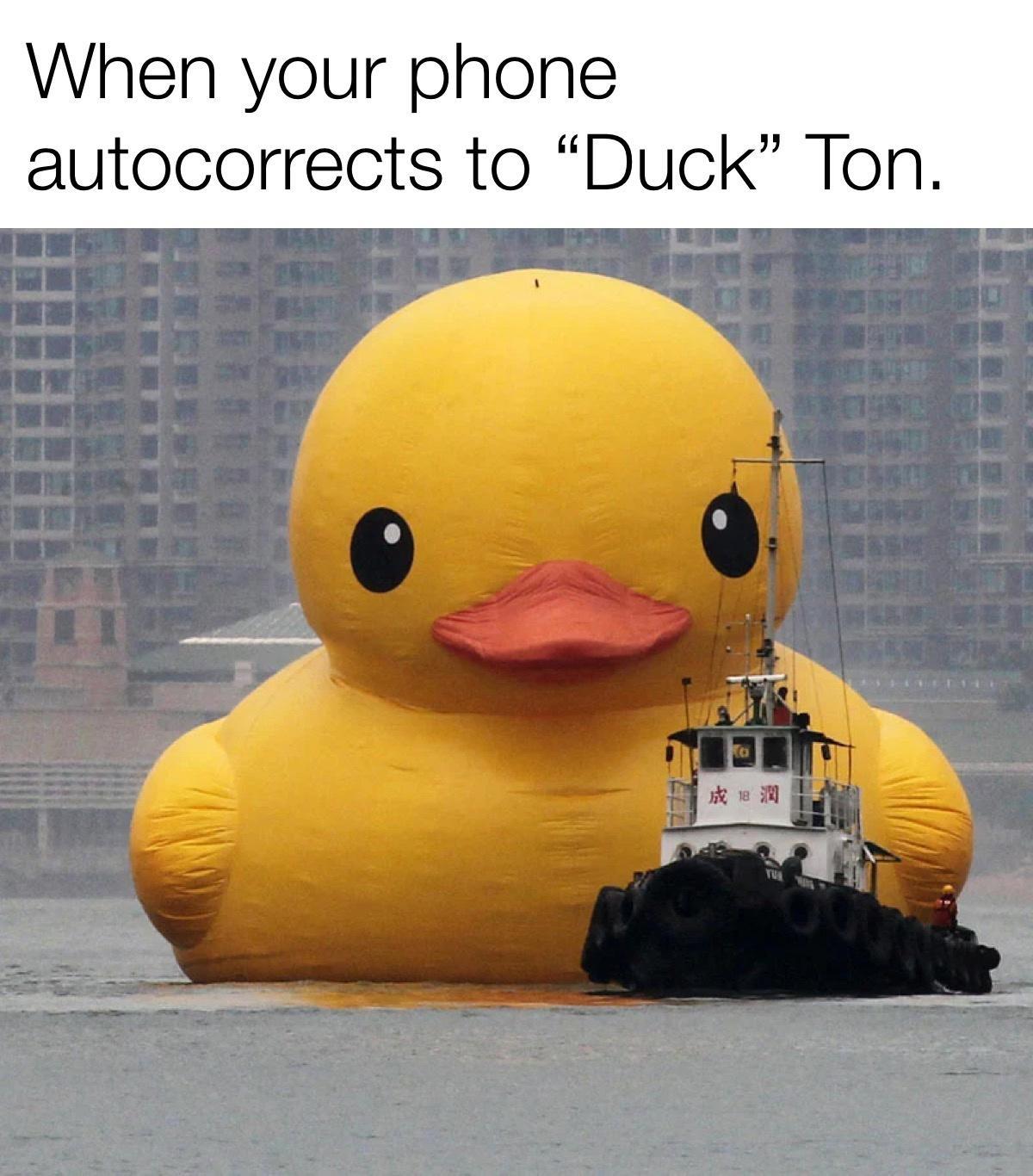 When your phone autocorrects to Duck Ton T AT e