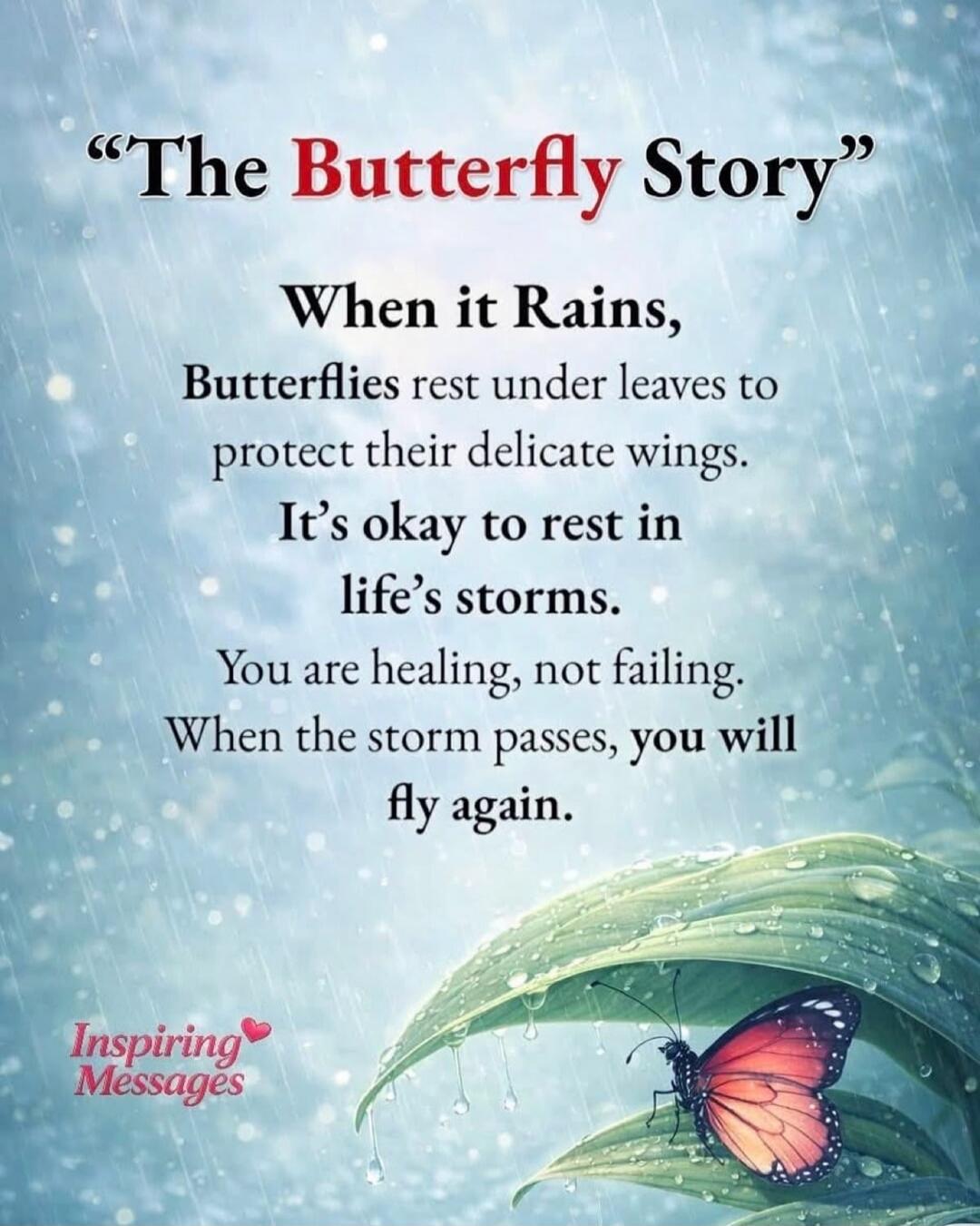 The Butterfly Story. When it Rains, Butterflies rest under leaves to protect their delicate wings. It's okay to rest in life's storms. You are healing, not failing. When the storm passes, you will fly again. Inspiring Messages.