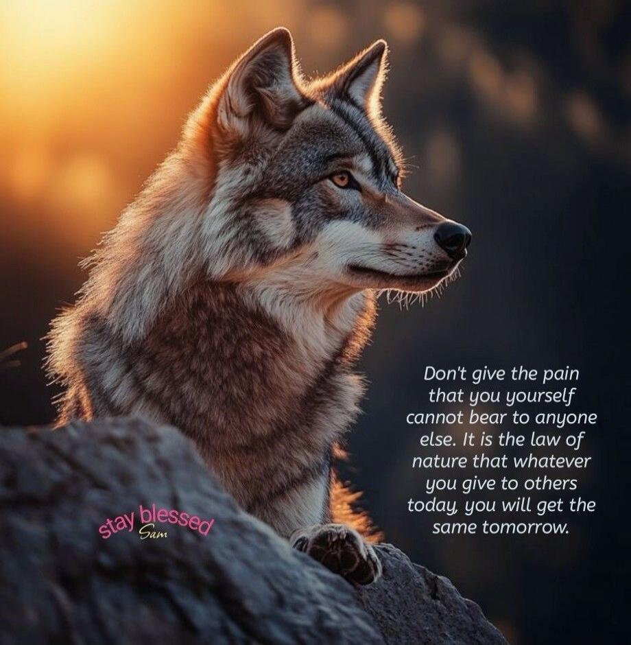 Don't give the pain that you yourself cannot bear to anyone else. It is the law of nature that whatever you give to others today, you will get the same tomorrow. stay blessed Sam