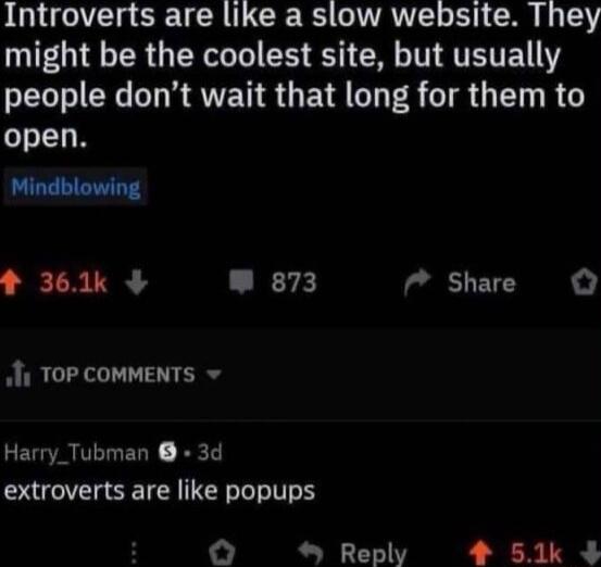 Introverts are like a slow website They might be the coolest site but usually people dont wait that long for them to open Mindblowing 361k W 873 Share 11 TOP COMMENTS Harry_Tubman 3d extroverts are like popups Reply 4 51k 4