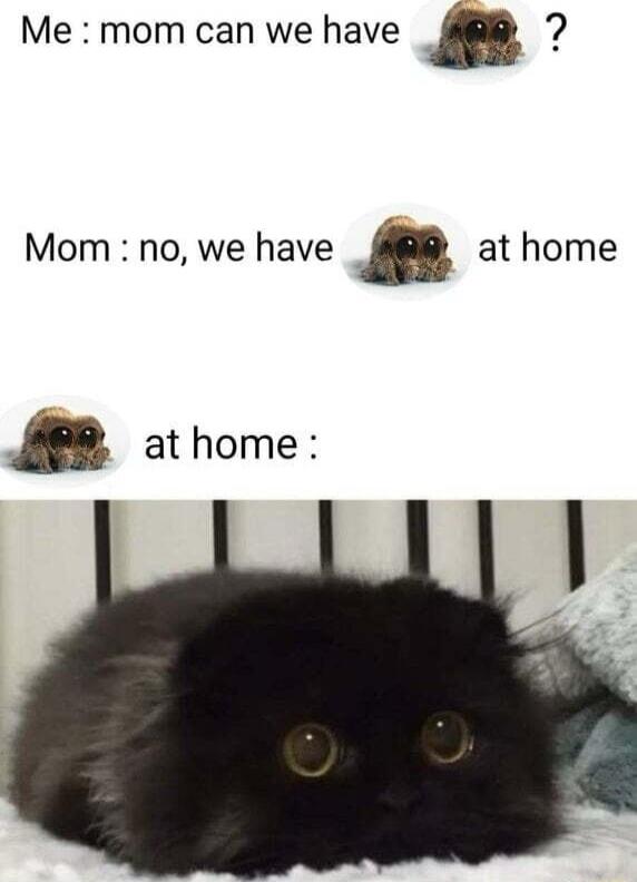 Me mom can we have n Mom no we have a at home B athome