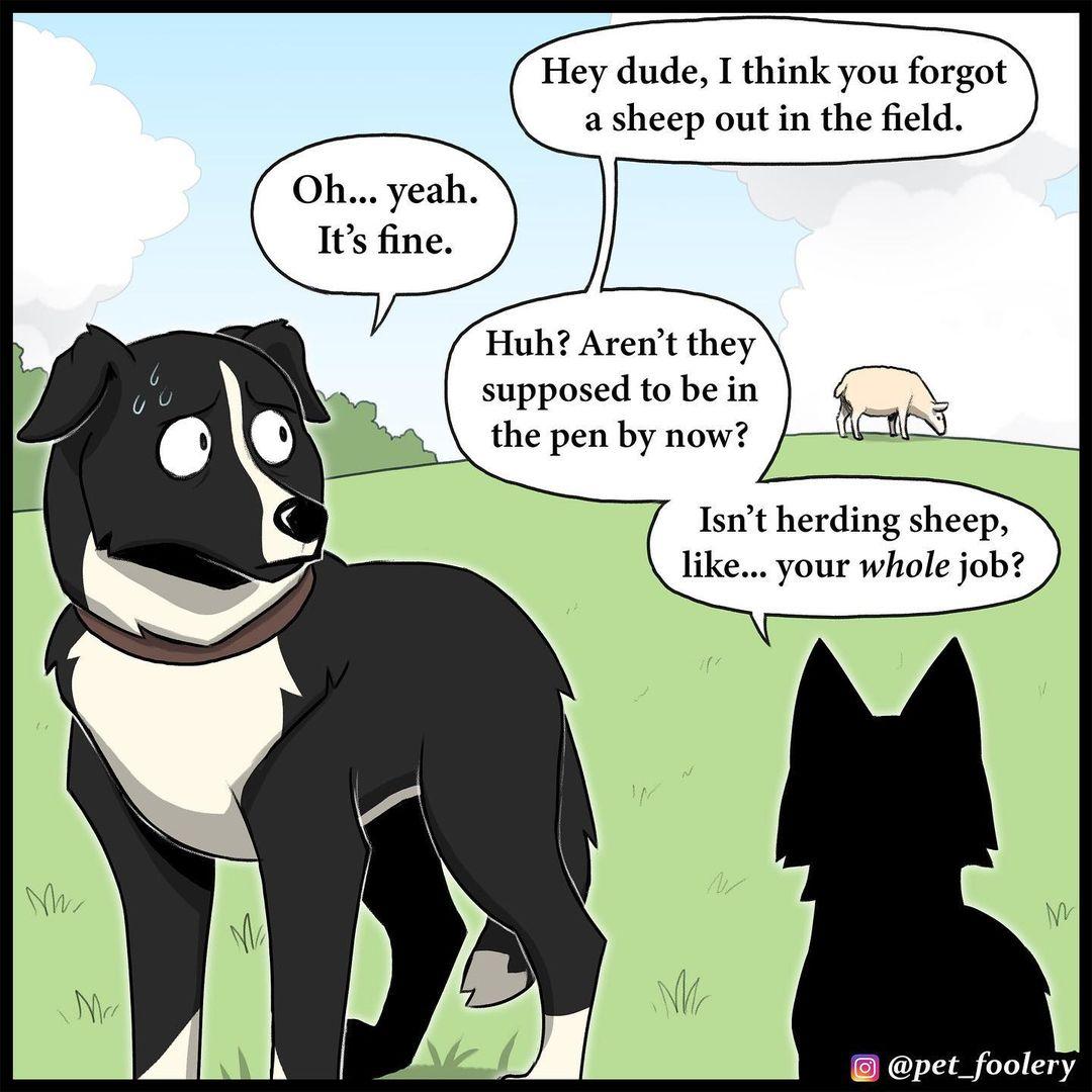 Hey dude I think you forgot a sheep out in the field Huh Arent they supposed to be in the pen by now Isnt herding sheep like your whole job pet_foolery